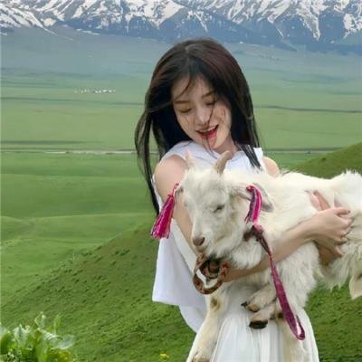 姐妹联谊会惊魂 在线观看