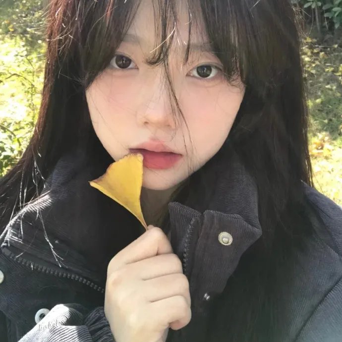 银杏床 在线观看